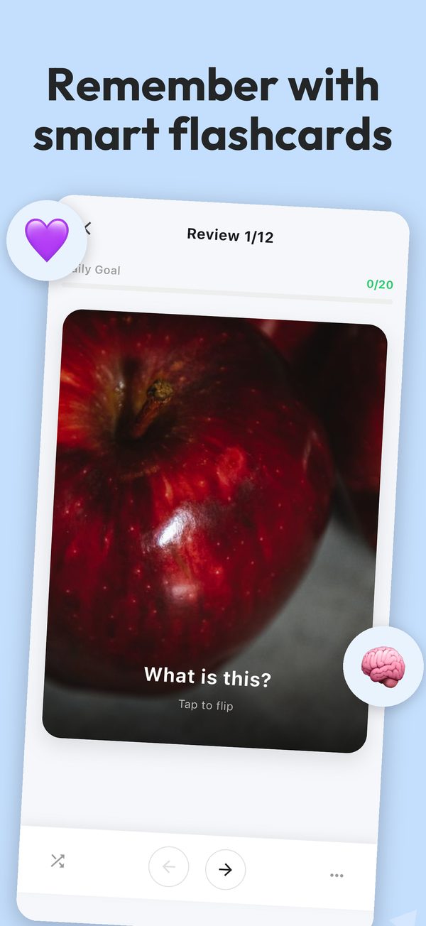 Flashcard review